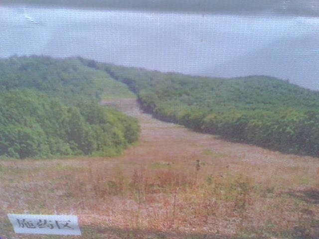 森林防火道试验建设